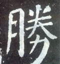 胜字的其他书法字体