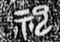 禩字的其他书法字体