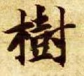树字的其他书法字体