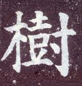 树字的其他书法字体