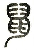 鼡字的其他书法字体