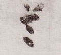 首字的其他书法字体