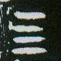 四字的其他书法字体