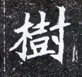 树字的其他书法字体