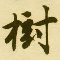 树字的其他书法字体