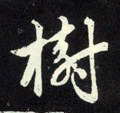 树字的其他书法字体
