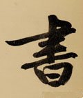 書字的其他书法字体
