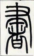書字的其他书法字体