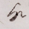 氵字的其他书法字体