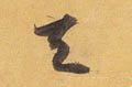 靝字的其他书法字体