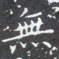 无字的其他书法字体