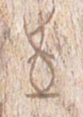 徍字的其他书法字体