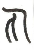 丸字的其他书法字体