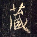 藏字的其他书法字体