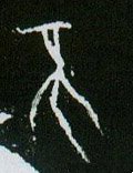 柎字的其他书法字体