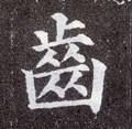 齿字的其他书法字体