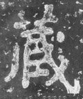 藏字的其他书法字体