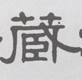 藏字的其他书法字体