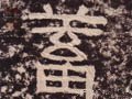 蓄字的其他书法字体