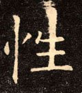 性字的其他书法字体