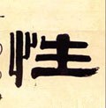 性字的其他书法字体