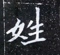 姓字的其他书法字体