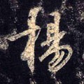 杨字的其他书法字体