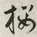 櫻字的其他书法字体