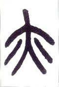 亦字的其他书法字体