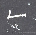 鳦字的其他书法字体