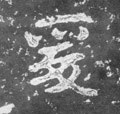 轅字的其他书法字体