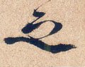 之字的其他书法字体