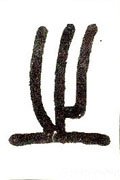 之字的其他书法字体