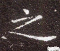 之字的其他书法字体