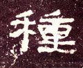 种字的其他书法字体