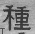 种字的其他书法字体