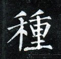 种字的其他书法字体