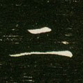 二字的其他书法字体
