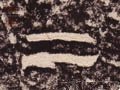 二字的其他书法字体