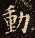 动字的其他书法字体