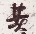费字的其他书法字体