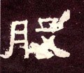 股字的其他书法字体