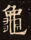 亀字的其他书法字体