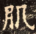 肌字的其他书法字体