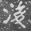 后字的其他书法字体