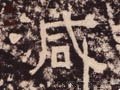 減字的其他书法字体