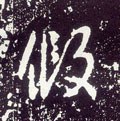 假字的其他书法字体