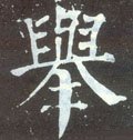 挙字的其他书法字体
