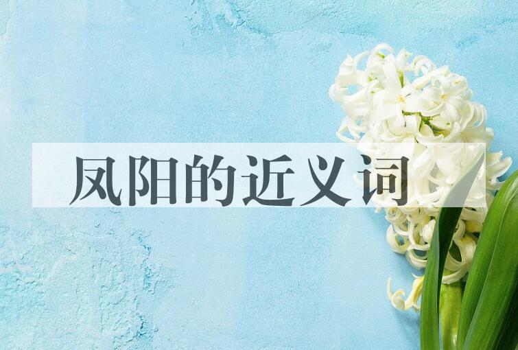 用凤阳造句