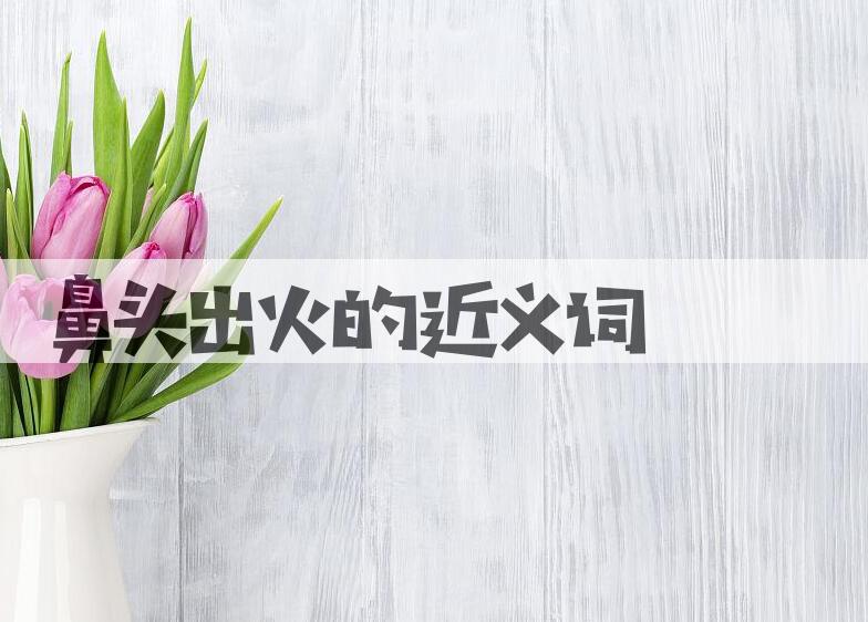 用鼻头出火造句